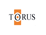 Torus Solutions Logo